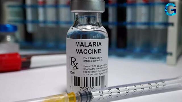 Vaksin Malaria