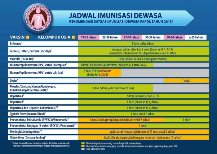 Rekomendasi vaksin penting untuk dewasa dan jadwal pemberiannya