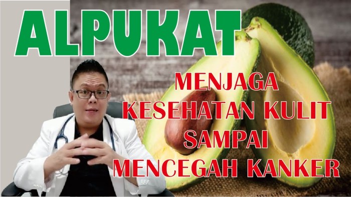 Apa Saja Manfaat Buah Alpukat