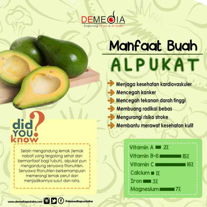 Apa Saja Manfaat Buah Alpukat