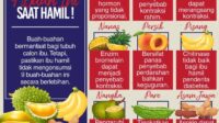 Buah yang Tidak Boleh Dimakan Saat Hamil