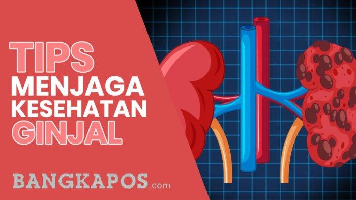 Ini Gejala Gagal Ginjal Akut Pada Anak yang Tak Disadari Para Orang Tua ... Ini Gejala Gagal Ginjal Akut Pada Anak yang Tak Disadari Para Orang Tua ...