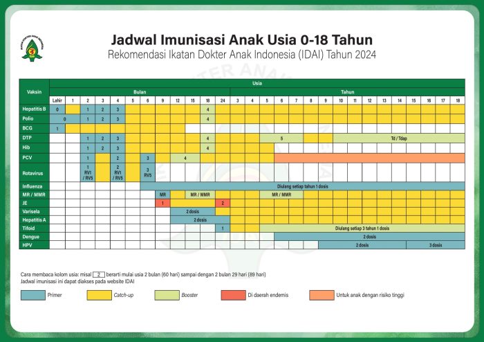 Catat, Jadwal Imunisasi Anak Terbaru 2024! Catat, Jadwal Imunisasi Anak Terbaru 2024!