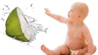 Mitos dan Fakta Minum Air Kelapa Selama Kehamilan yang Perlu Diketahui ...