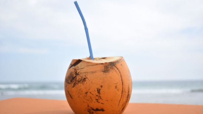 Air Kelapa Hijau Bisa Melancarkan Haid, Mitos atau Fakta?