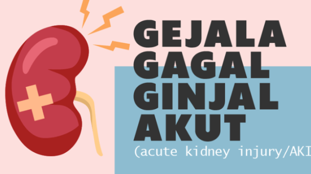 Kenali Gejala Awal Gagal Ginjal