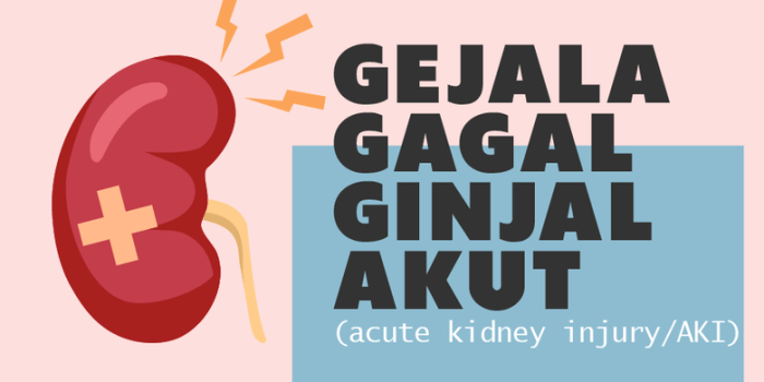 12 Tanda Gagal Ginjal, Sepele Tapi Bisa Fatal Jika Diabaikan Kenali Gejala Awal Gagal Ginjal
