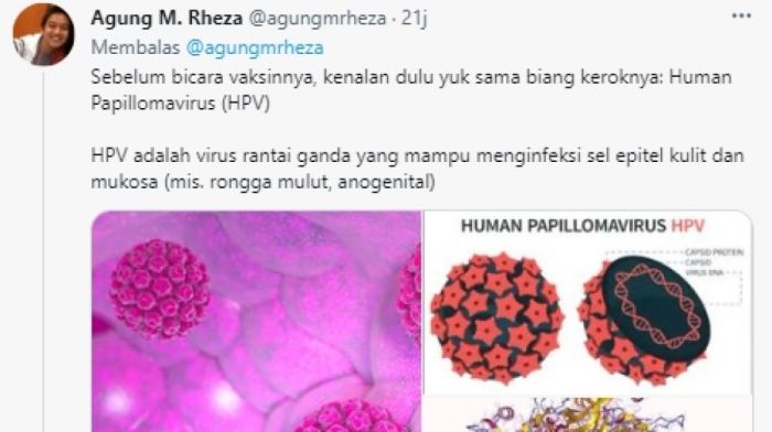 Banyak Ditanya Soal Vaksin HPV, Dokter Ini Beberkan Faktanya Banyak Ditanya Soal Vaksin HPV, Dokter Ini Beberkan Faktanya