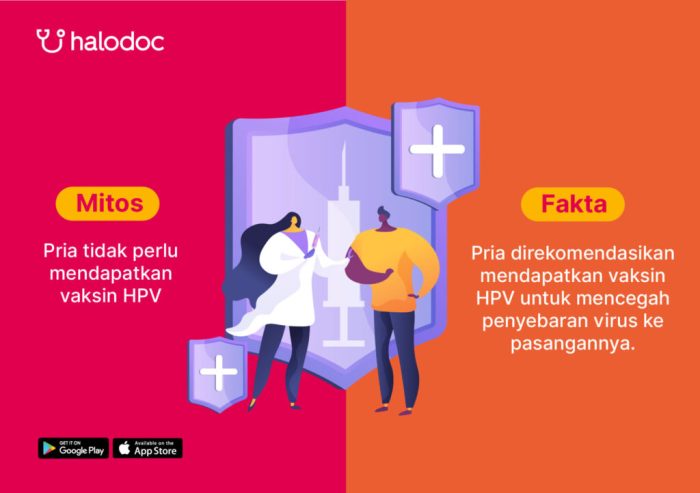 Cek Fakta: Pemberian Vaksin HPV untuk Pria Mitos dan Fakta Tentang Vaksin HPV
