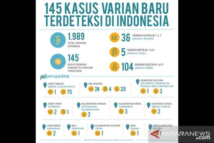 47 kasus varian baru COVID-19 berasal dari luar negeri - ANTARA News 47 kasus varian baru COVID-19 berasal dari luar negeri - ANTARA News