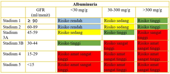 WASPADA Gagal Ginjal Akut Pada Anak | Indonesia Baik Umur Baru 25, Sudah Gagal Ginjal: Kenali 5 Kebiasaan Ini