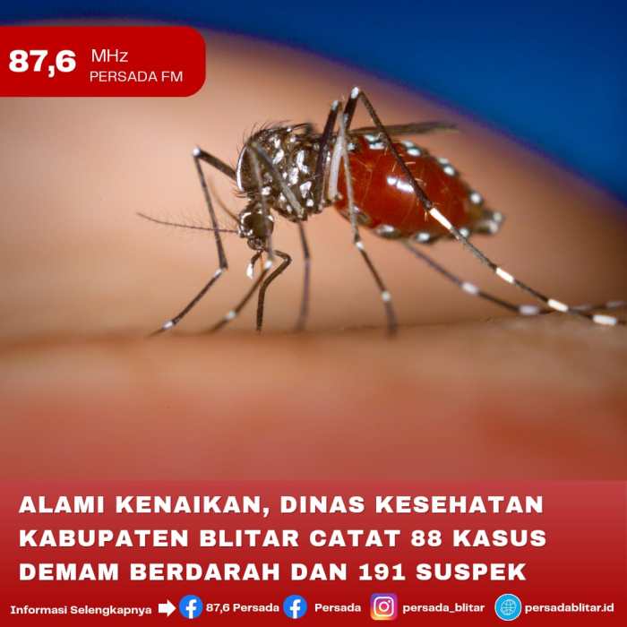 7 Penyakit di Musim Hujan Selain Demam Berdarah - KlikDokter Kasus Demam Berdarah Naik Tajam di Musim Hujan