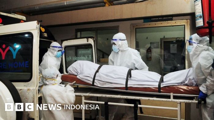 Virus Nipah, apakah sudah ada di Indonesia dan perlukah kita khawatir ... Waspadai Virus Nipah, Sudah Terdeteksi di Beberapa Negara