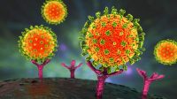 Waspadai Virus Nipah, Sudah Terdeteksi di Beberapa Negara