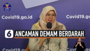 Berita Kesehatan Terbaru: Lonjakan Kasus Demam Berdarah