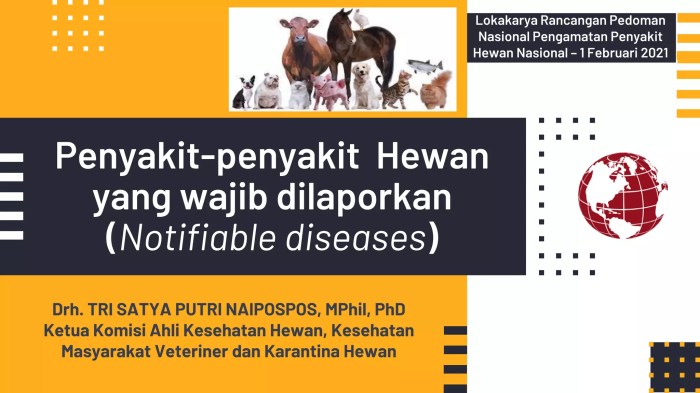 Penyakit-Penyakit Yang Wajib Dilaporkan (Notifiable Diseases ... WHO Umumkan Penyakit Baru yang Harus Diwaspadai