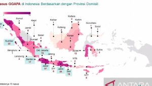 Tren Penyakit Kronis di Indonesia Tahun Ini