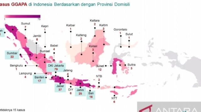 Tren Penyakit Kronis di Indonesia Tahun Ini
